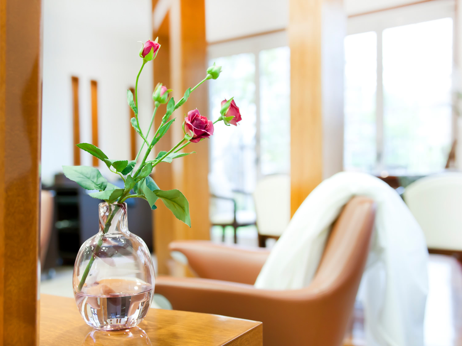 information - totto cocco